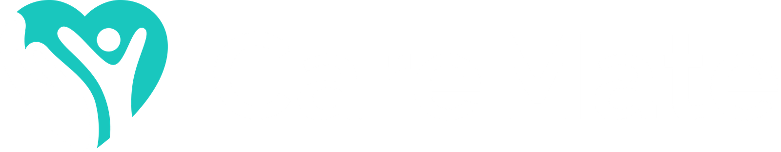ViserLab